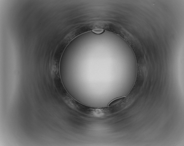 X0000115830091200911201514