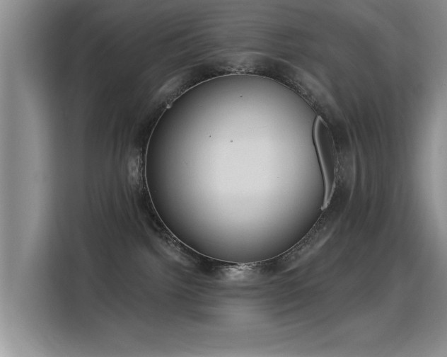 X0000115830092200911201514