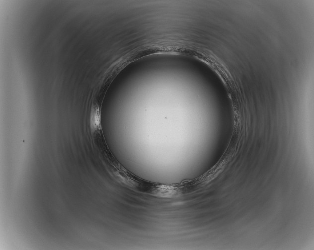 X0000115830095200911201514