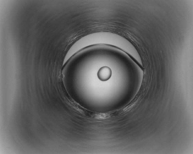 X0000115830096200911201514