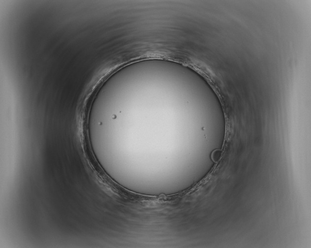 X0000115830098200911201513