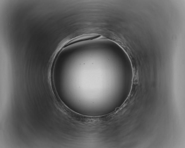 X0000115830099200911201513