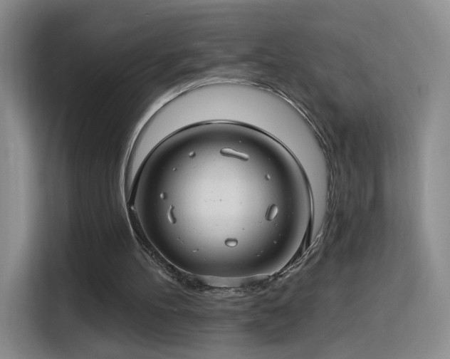 X0000115830100200911201513