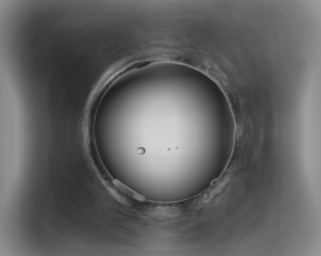 X0000115830101200911201513