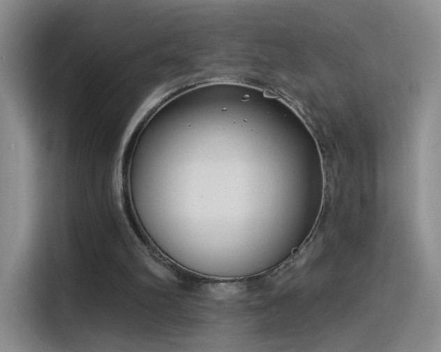 X0000115830102200911201513