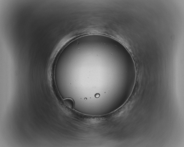 X0000115830103200911201513