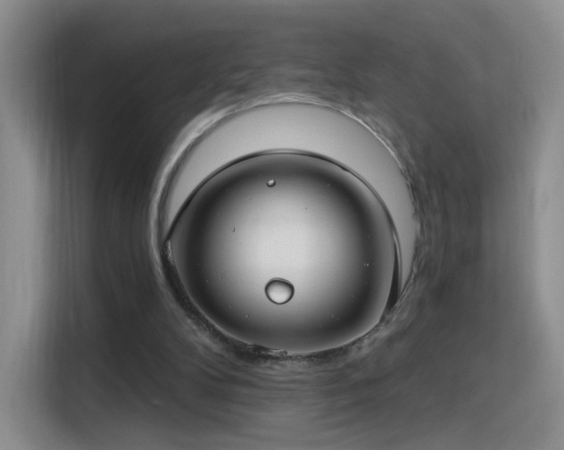 X0000115830104200911201513