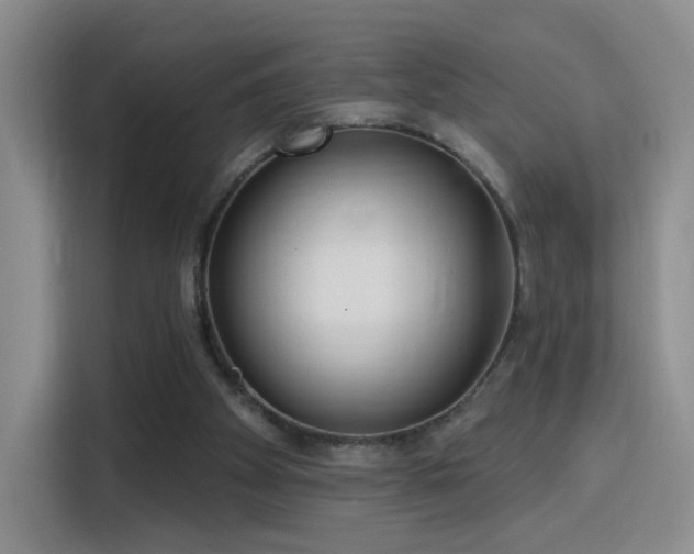 X0000115830105200911201513