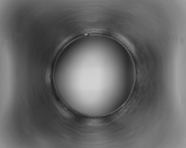 X0000115830107200911201513