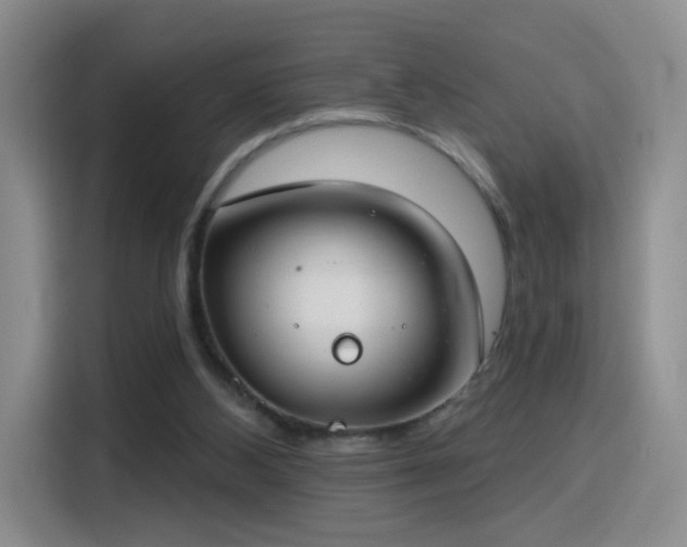 X0000115830108200911201513