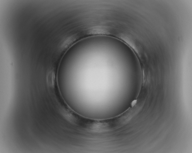 X0000115830109200911201513