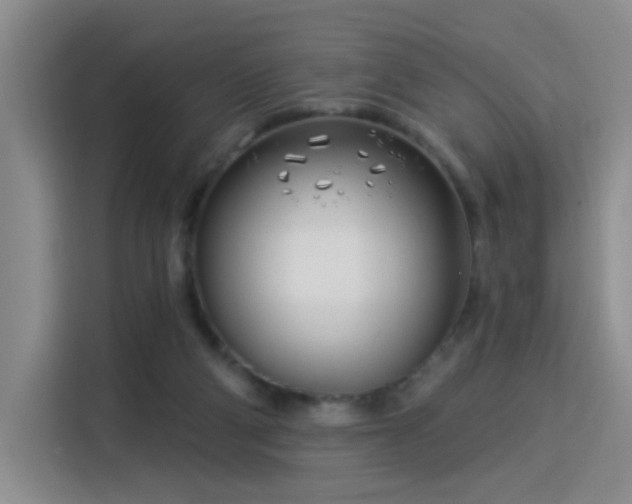 X0000115830114200911201513