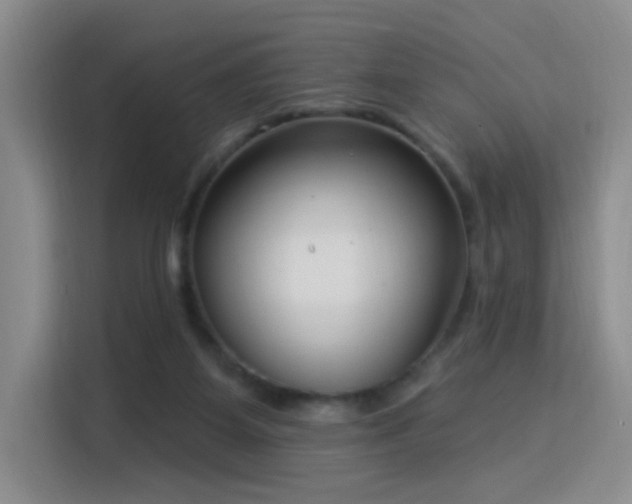 X0000115830115200911201513