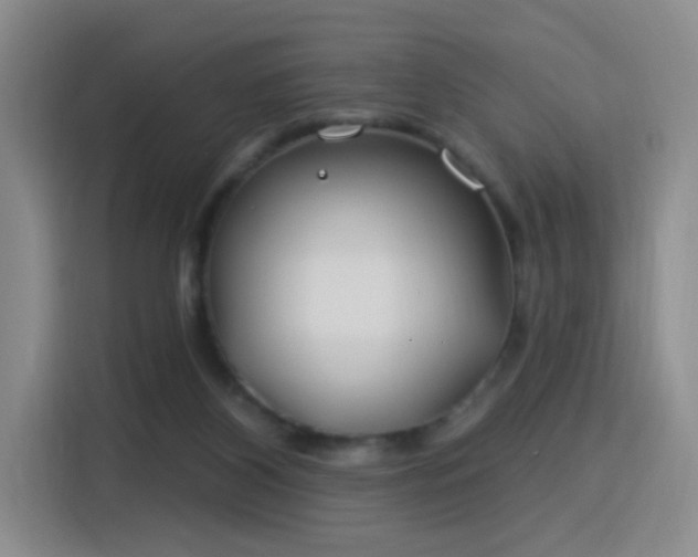 X0000115830116200911201513