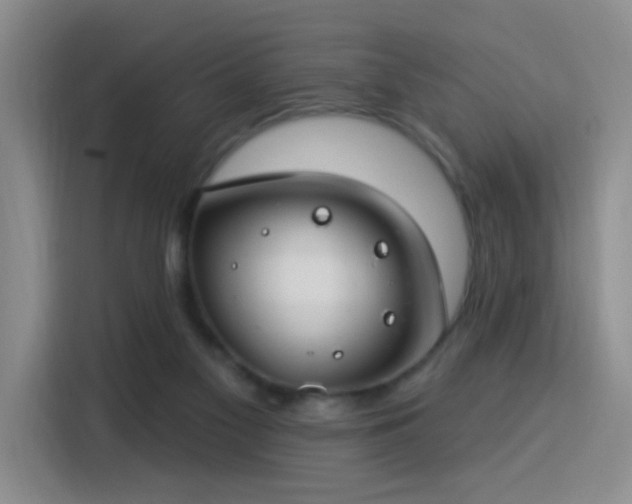 X0000115830117200911201513