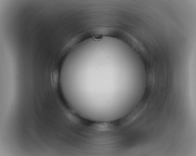 X0000115830118200911201513