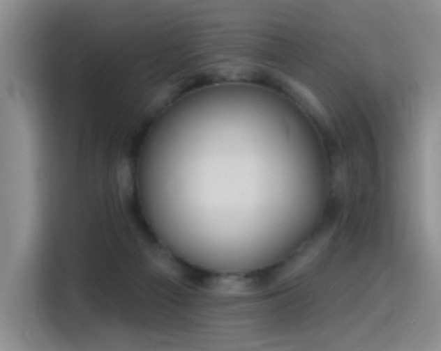 X0000115830121200911201513