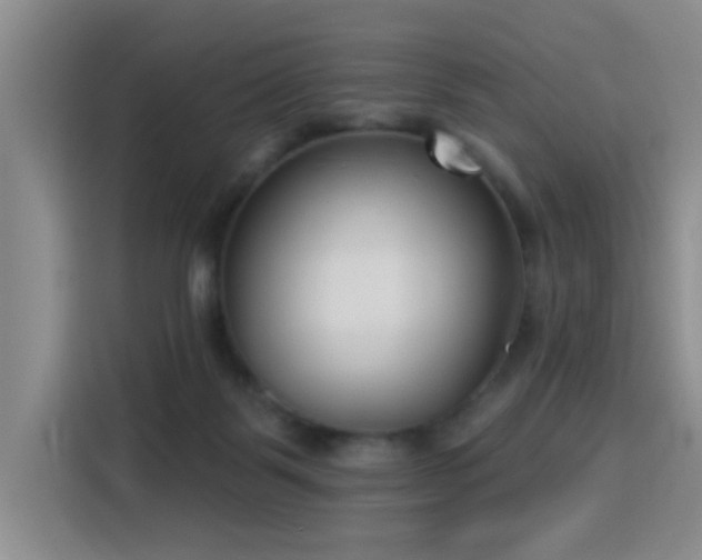 X0000115830123200911201513