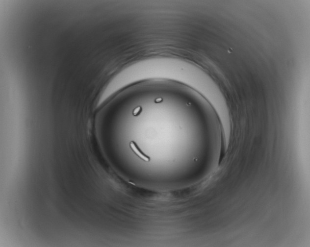 X0000115830124200911201513