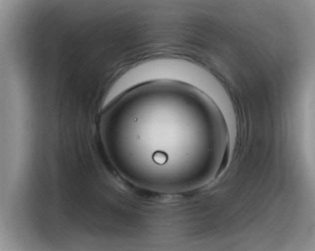 X0000115830128200911201513