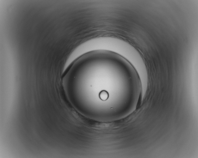 X0000115830129200911201513