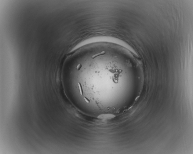 X0000115830131200911201513