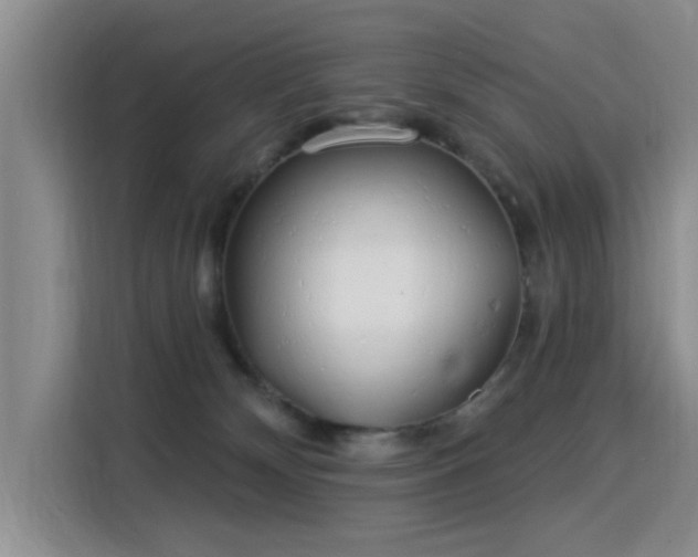 X0000115830132200911201513