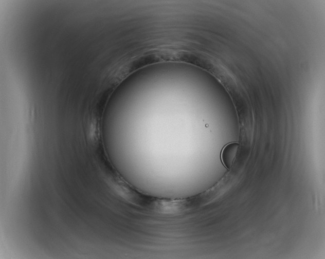 X0000115830134200911201513