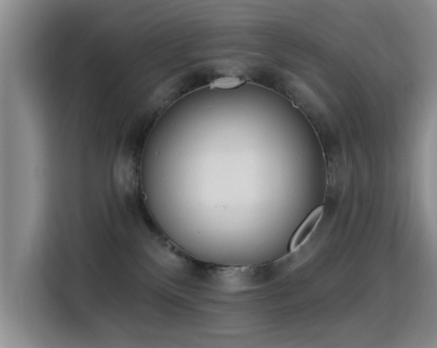 X0000115830136200911201513