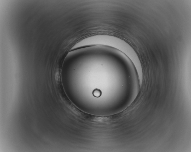 X0000115830137200911201513