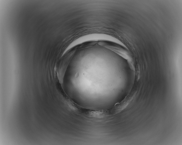 X0000115830139200911201513