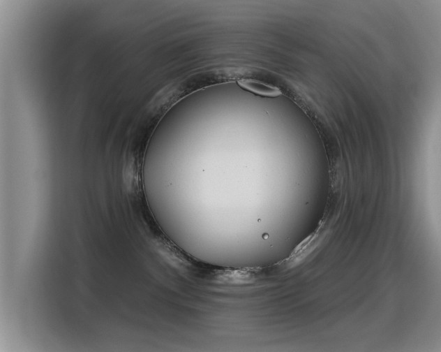 X0000115830140200911201513