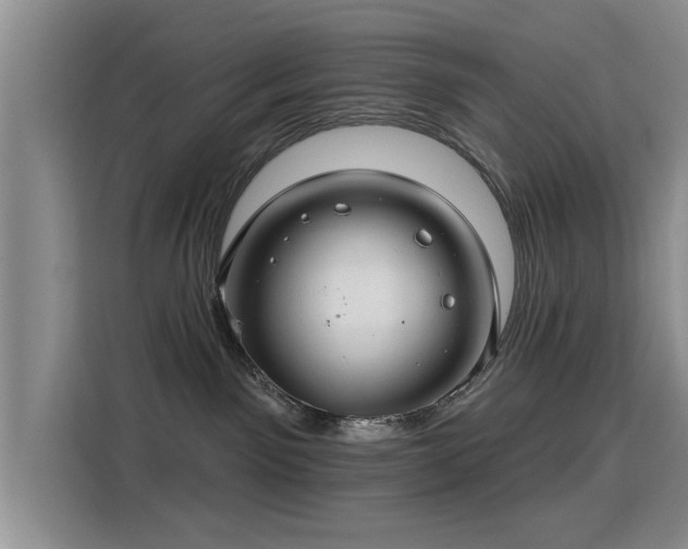 X0000115830141200911201513