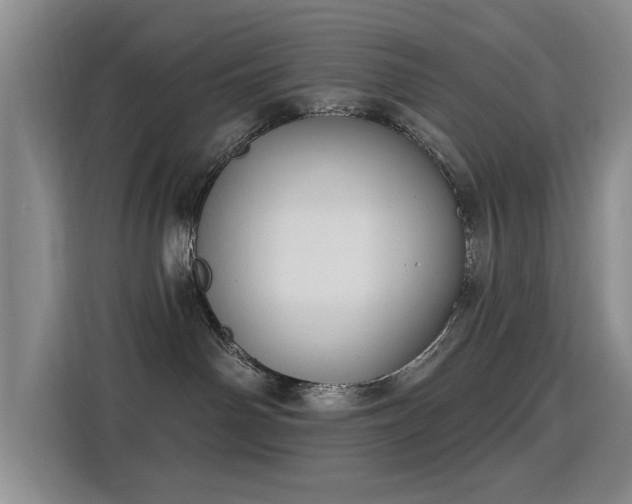 X0000115830142200911201513