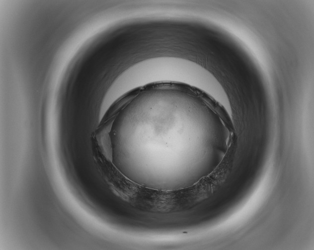 X0000115830143200911201513