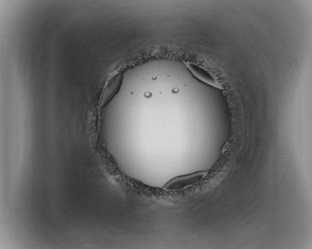 X0000115830144200911201513