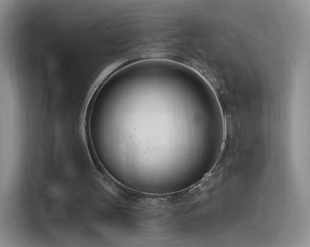 X0000115830147200911201512