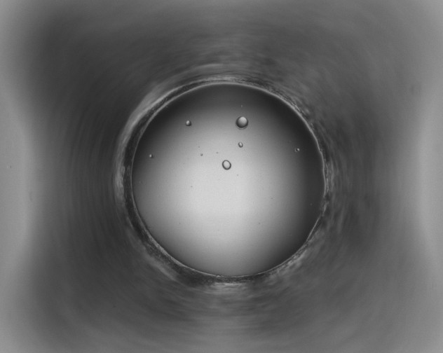 X0000115830150200911201512