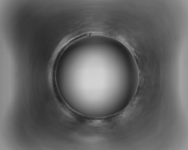 X0000115830151200911201512