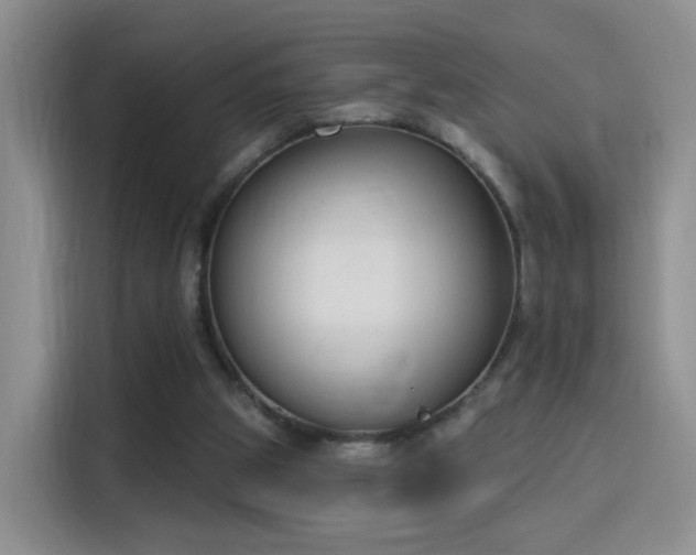 X0000115830153200911201512