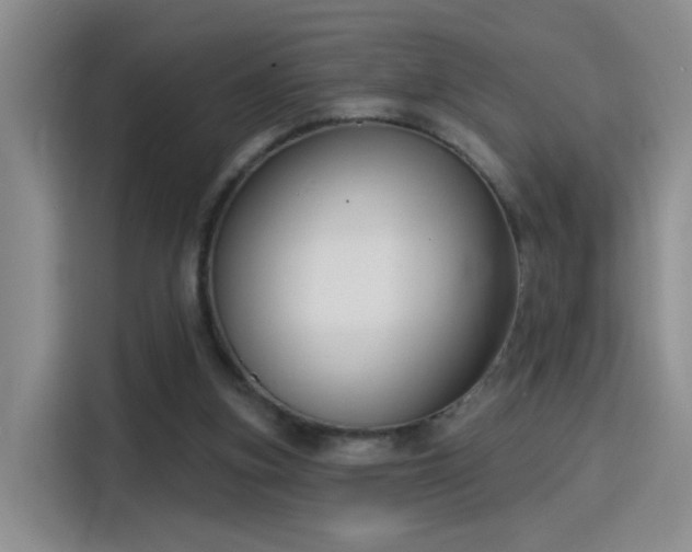 X0000115830155200911201512