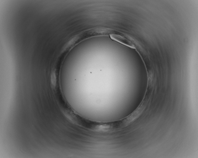 X0000115830158200911201512