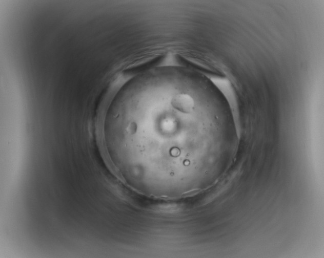 X0000115830161200911201512