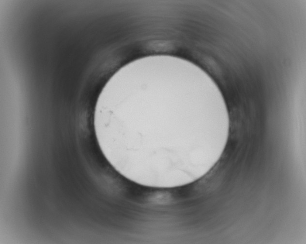 X0000115830162200911201512