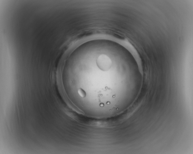 X0000115830165200911201512