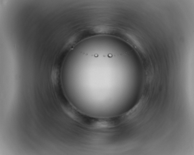 X0000115830171200911201512