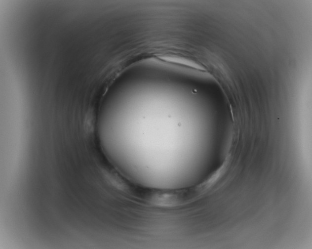 X0000115830174200911201512