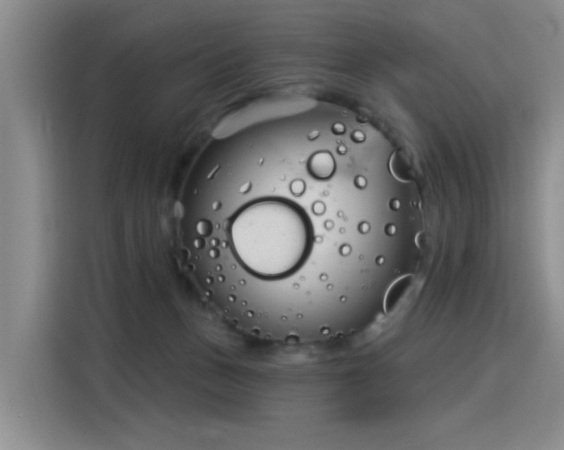 X0000115830175200911201512