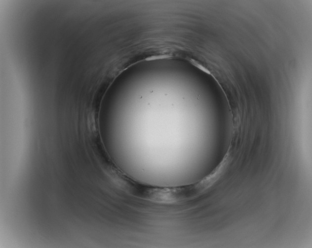 X0000115830182200911201512