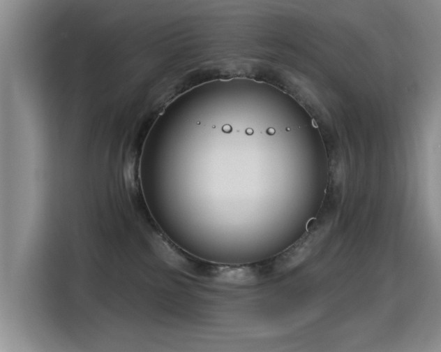 X0000115830185200911201512